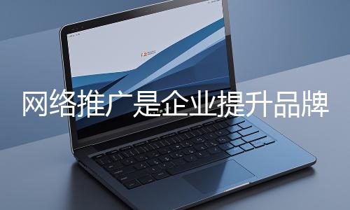 網(wǎng)絡(luò)推廣是企業(yè)提升品牌影響力、拓展市場(chǎng)的重要手段